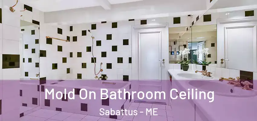  Mold On Bathroom Ceiling Sabattus - ME