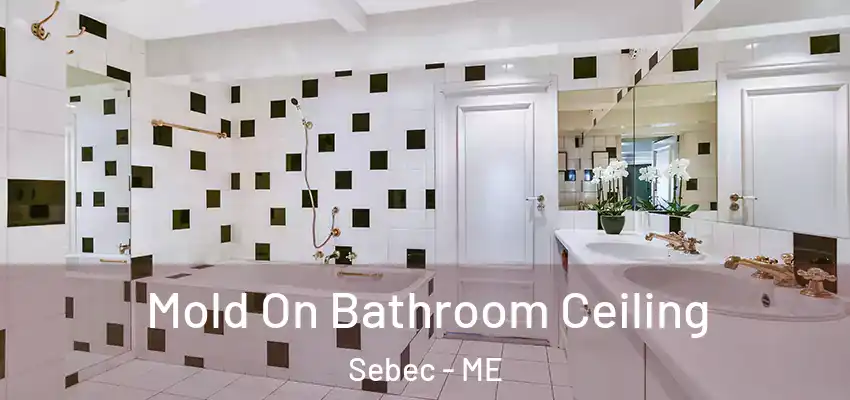  Mold On Bathroom Ceiling Sebec - ME