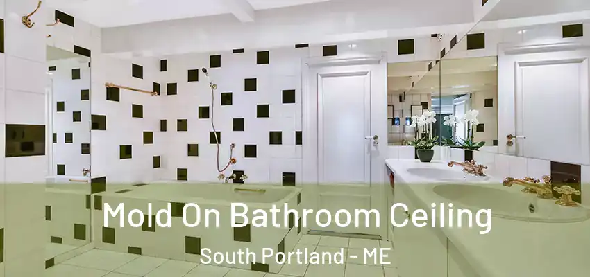  Mold On Bathroom Ceiling South Portland - ME