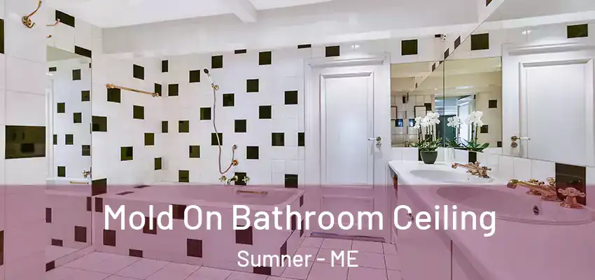  Mold On Bathroom Ceiling Sumner - ME