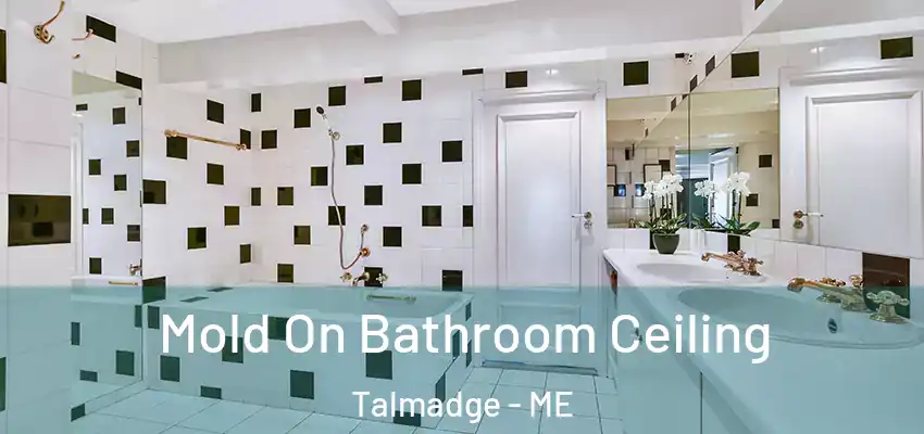  Mold On Bathroom Ceiling Talmadge - ME