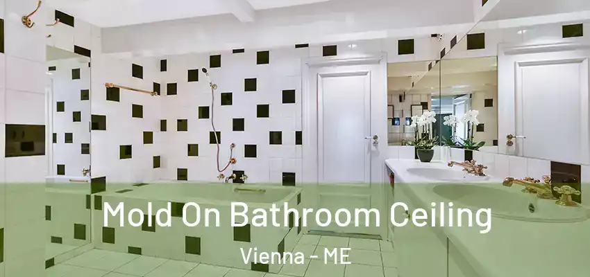  Mold On Bathroom Ceiling Vienna - ME