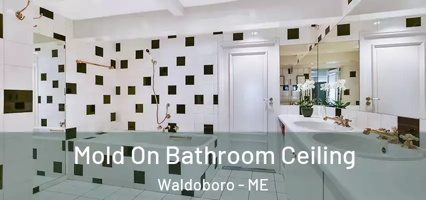  Mold On Bathroom Ceiling Waldoboro - ME