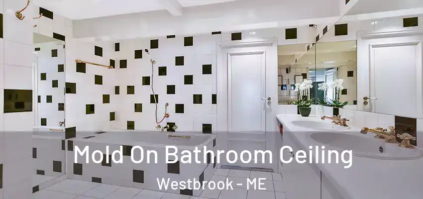  Mold On Bathroom Ceiling Westbrook - ME