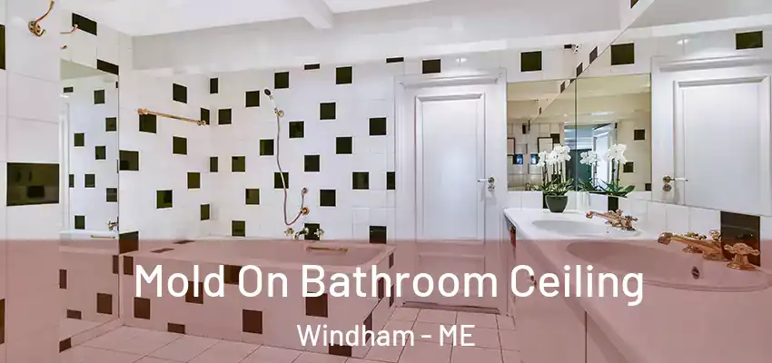  Mold On Bathroom Ceiling Windham - ME