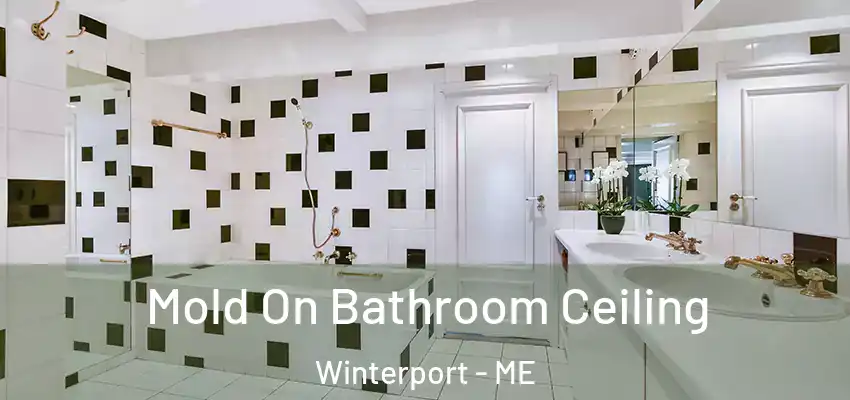  Mold On Bathroom Ceiling Winterport - ME