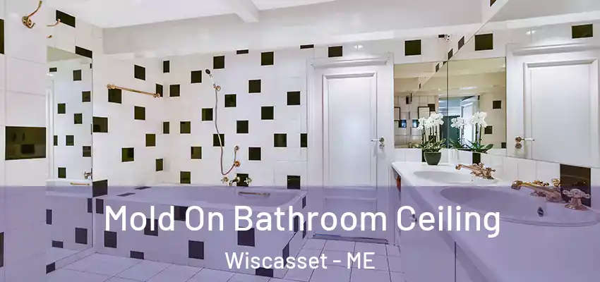  Mold On Bathroom Ceiling Wiscasset - ME