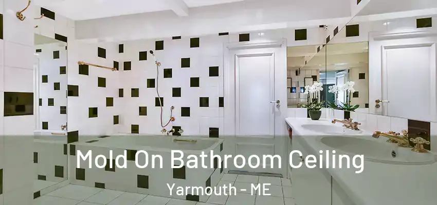  Mold On Bathroom Ceiling Yarmouth - ME
