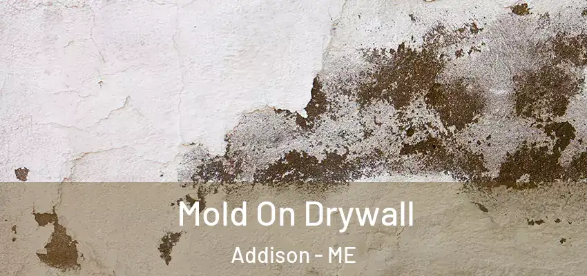  Mold On Drywall Addison - ME