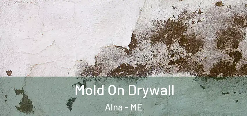  Mold On Drywall Alna - ME