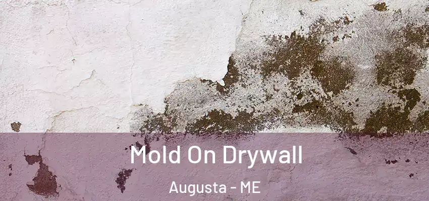  Mold On Drywall Augusta - ME