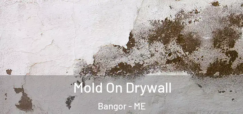  Mold On Drywall Bangor - ME
