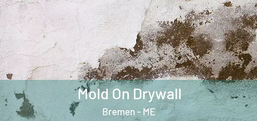  Mold On Drywall Bremen - ME