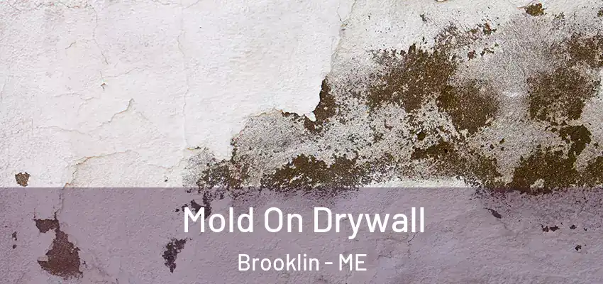  Mold On Drywall Brooklin - ME