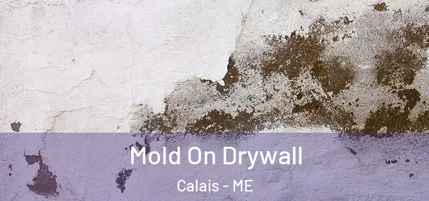  Mold On Drywall Calais - ME