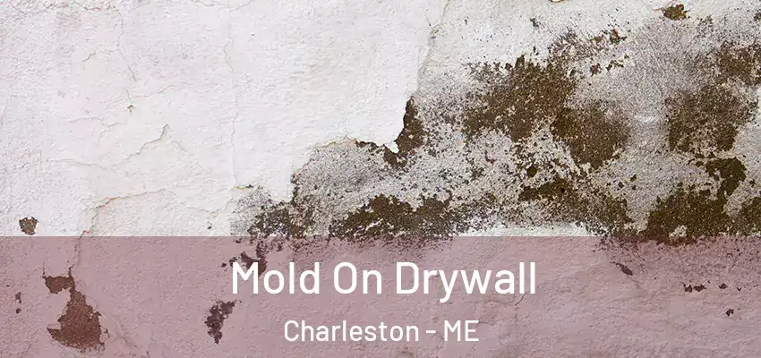  Mold On Drywall Charleston - ME