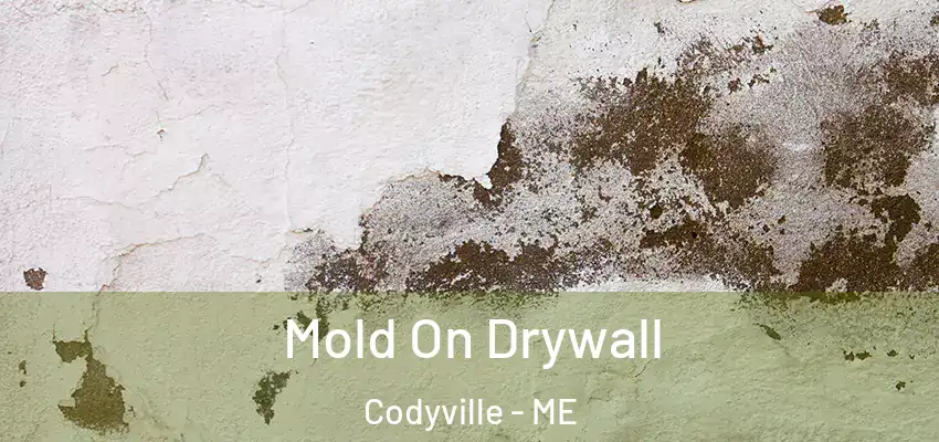  Mold On Drywall Codyville - ME