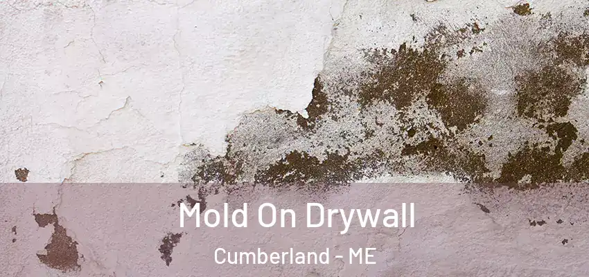  Mold On Drywall Cumberland - ME