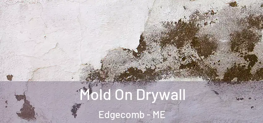  Mold On Drywall Edgecomb - ME