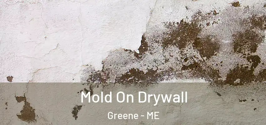 Mold On Drywall Greene - ME