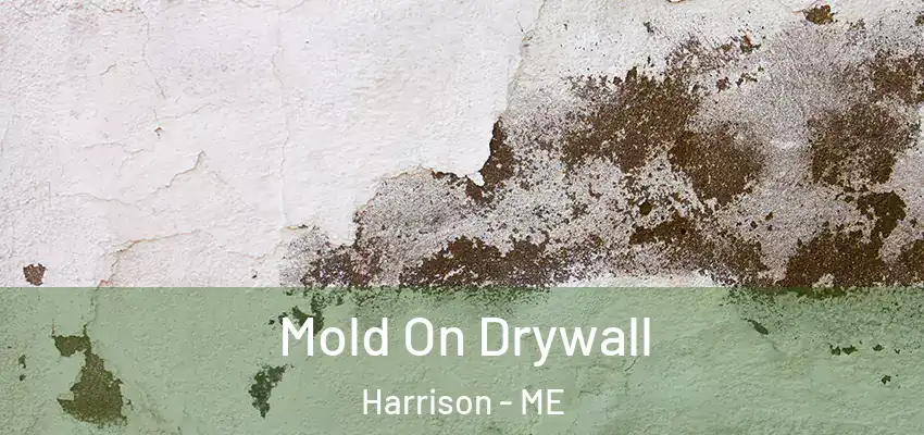  Mold On Drywall Harrison - ME