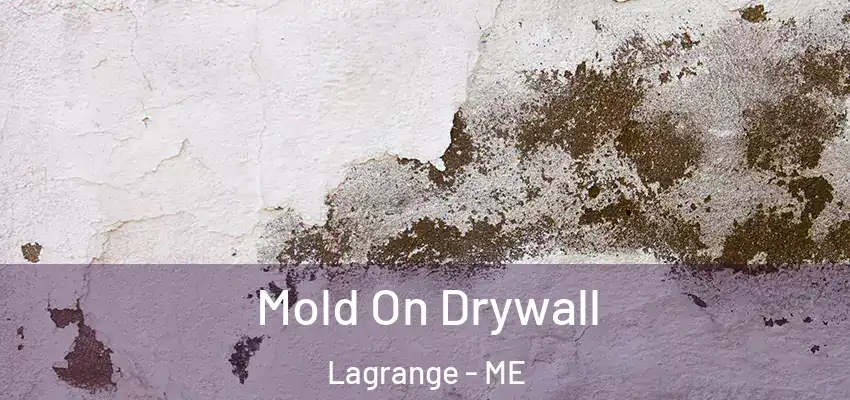  Mold On Drywall Lagrange - ME