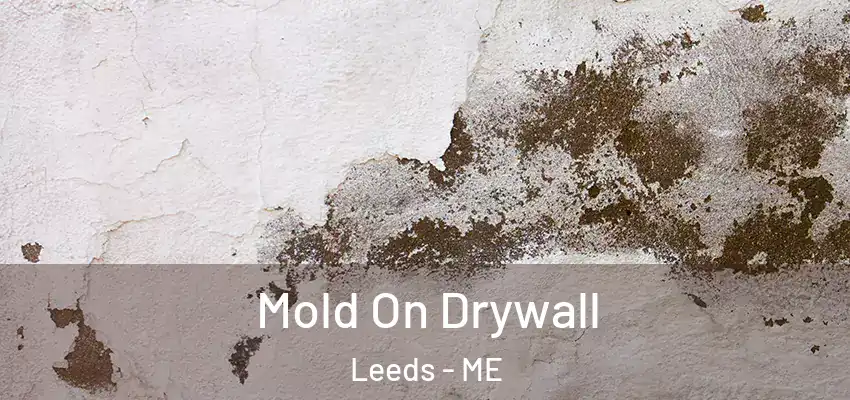  Mold On Drywall Leeds - ME