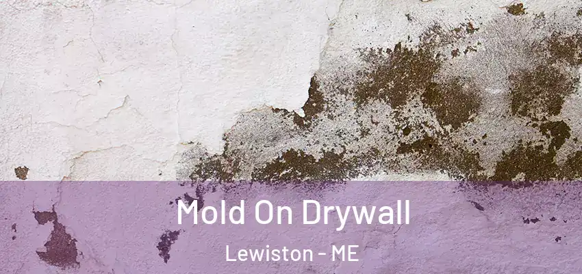  Mold On Drywall Lewiston - ME