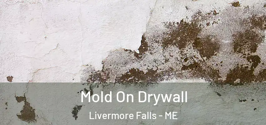  Mold On Drywall Livermore Falls - ME