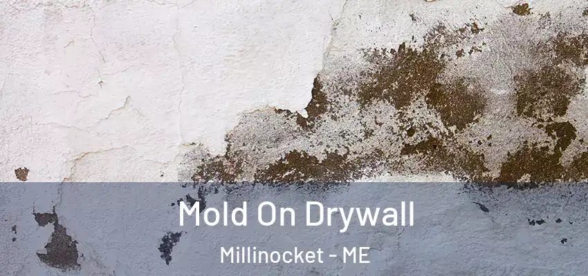 Mold On Drywall Millinocket - ME