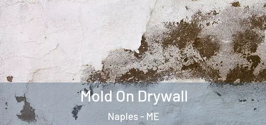  Mold On Drywall Naples - ME