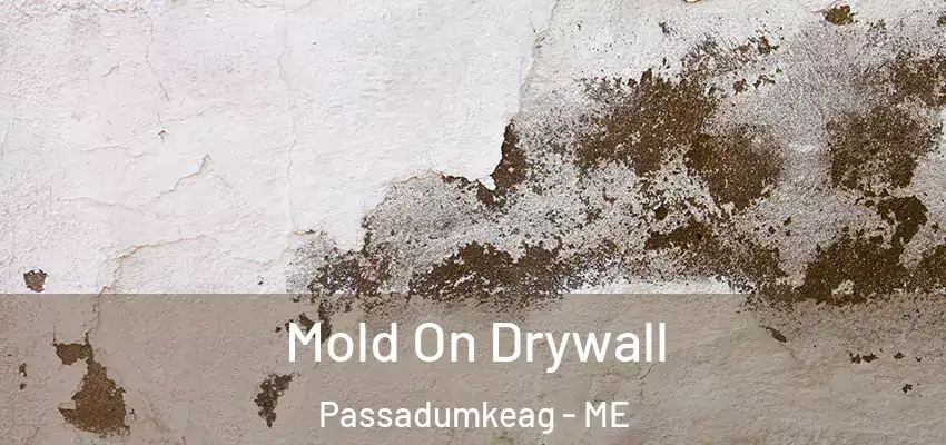  Mold On Drywall Passadumkeag - ME