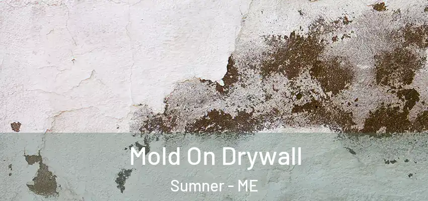  Mold On Drywall Sumner - ME