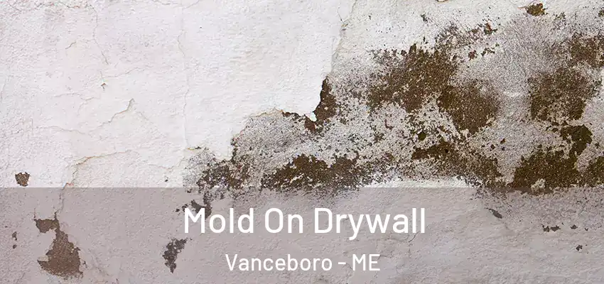  Mold On Drywall Vanceboro - ME