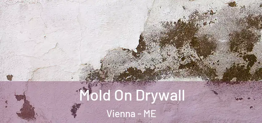  Mold On Drywall Vienna - ME
