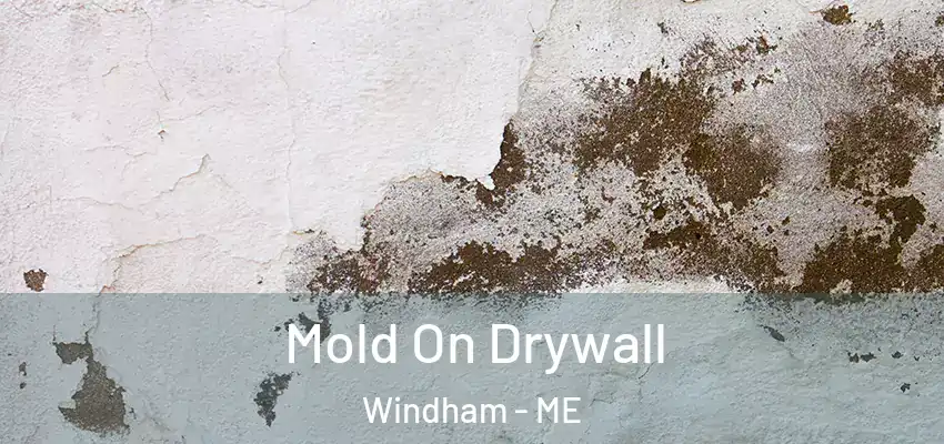  Mold On Drywall Windham - ME