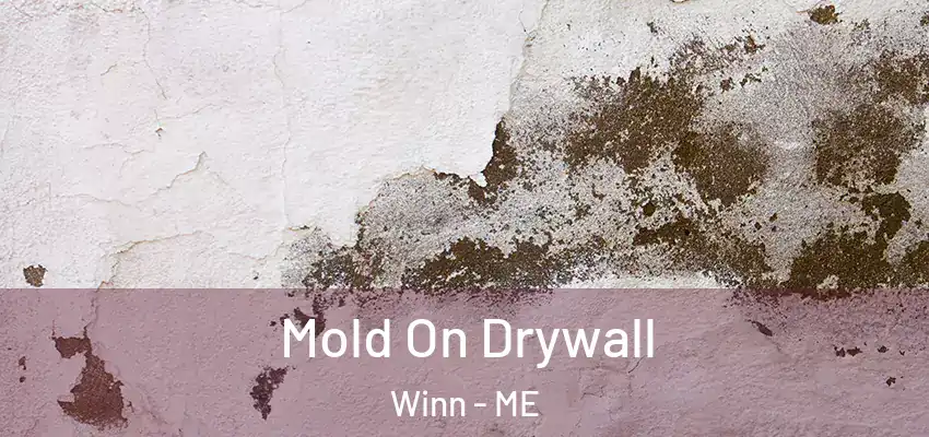  Mold On Drywall Winn - ME