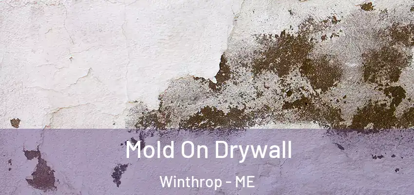  Mold On Drywall Winthrop - ME