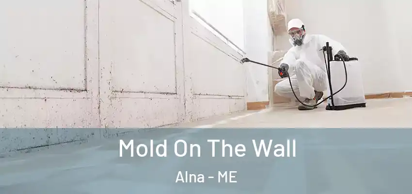  Mold On The Wall Alna - ME