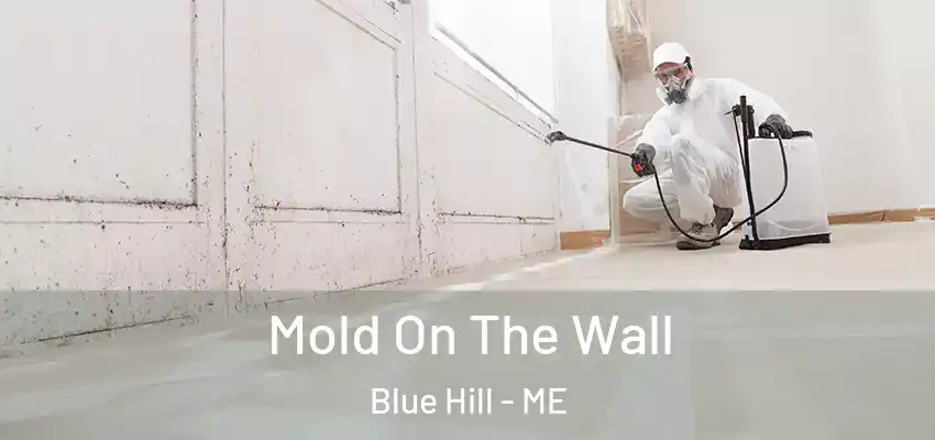  Mold On The Wall Blue Hill - ME