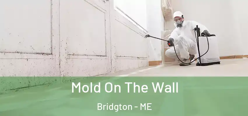  Mold On The Wall Bridgton - ME