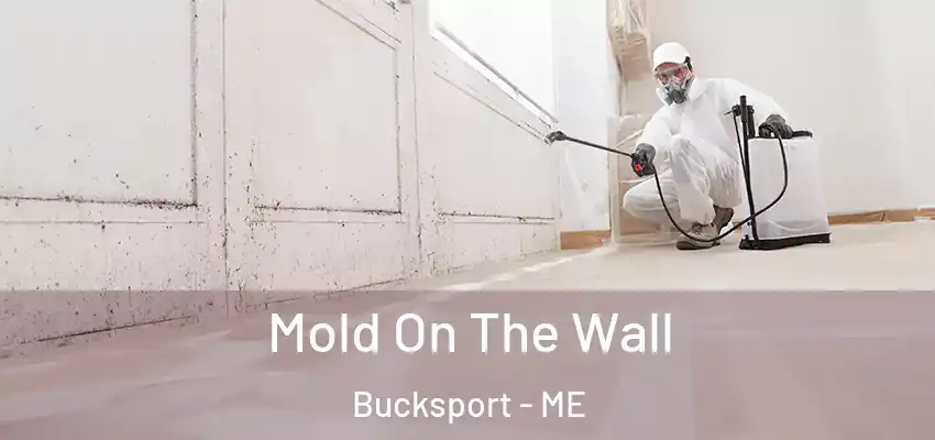  Mold On The Wall Bucksport - ME