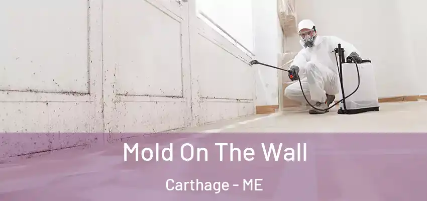  Mold On The Wall Carthage - ME