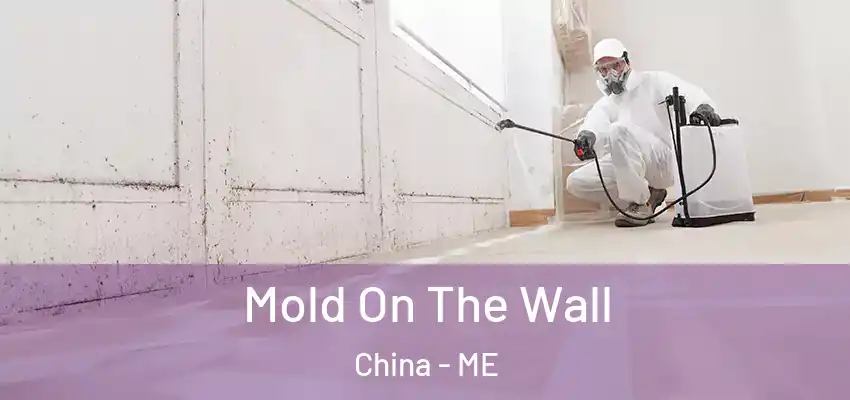  Mold On The Wall China - ME