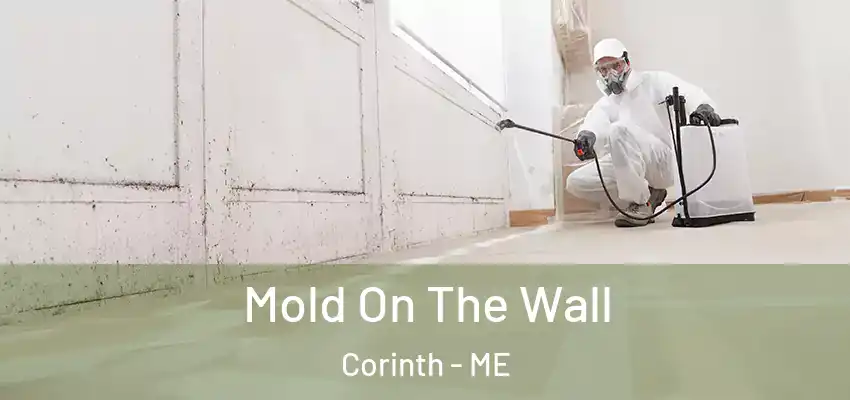  Mold On The Wall Corinth - ME