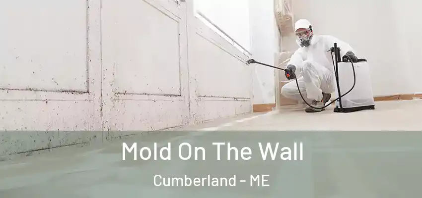  Mold On The Wall Cumberland - ME