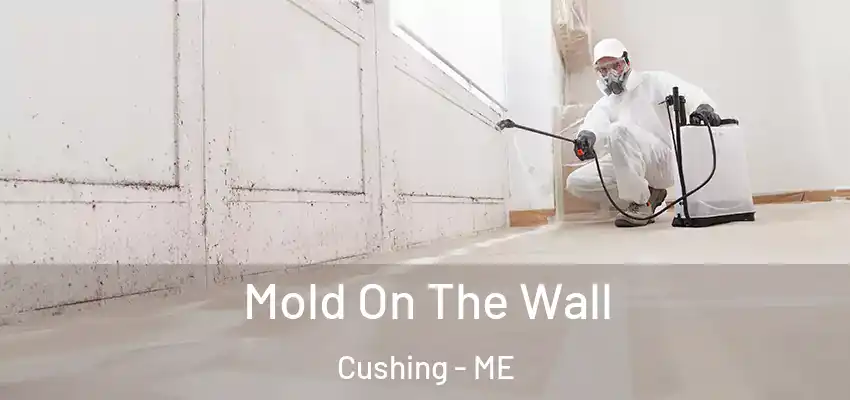  Mold On The Wall Cushing - ME