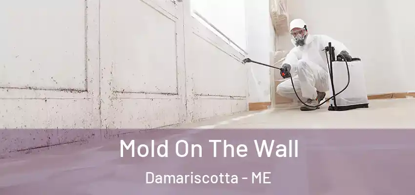  Mold On The Wall Damariscotta - ME