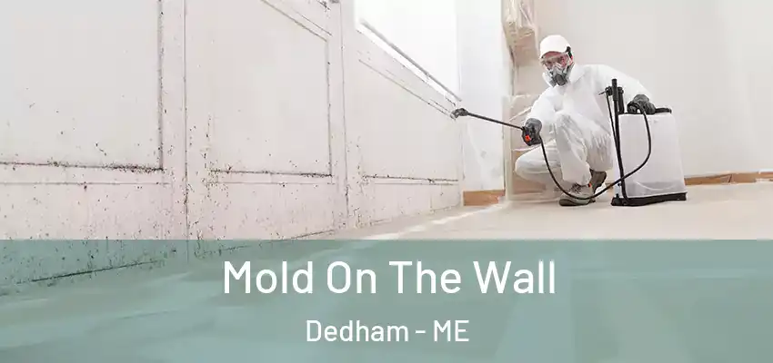  Mold On The Wall Dedham - ME