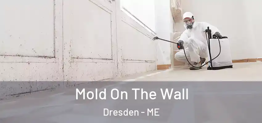  Mold On The Wall Dresden - ME